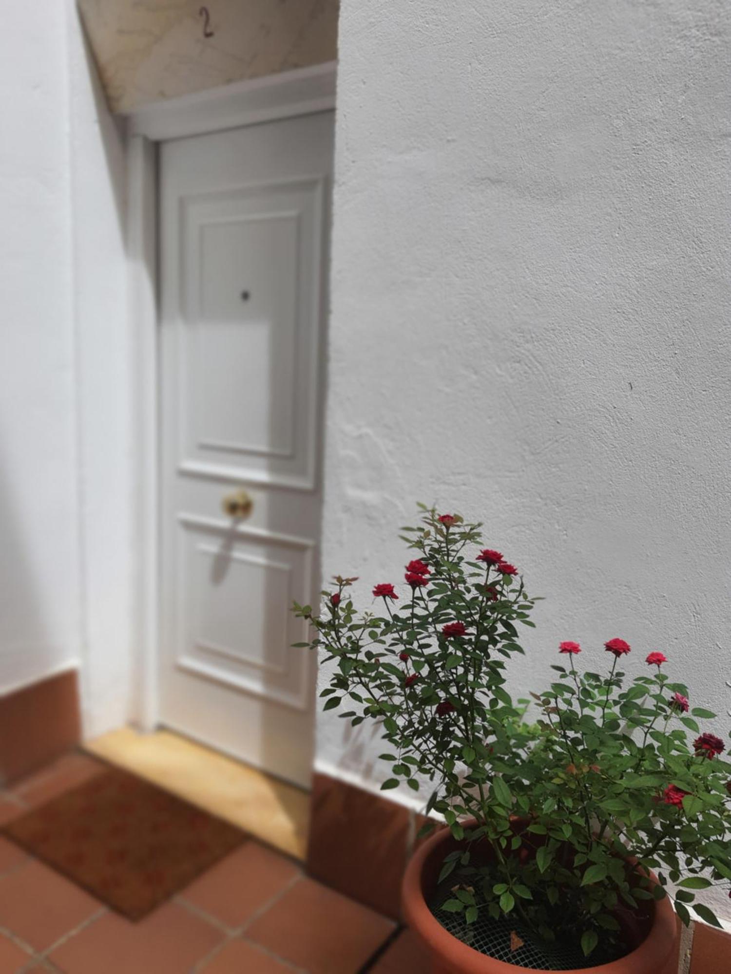 Centuria Macarena, Apartamento Duplex Apartment Sevilla Exterior foto
